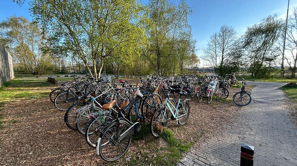 THETA 
CORTENSTAAL
AXLE DOUBLE ROSE
NATURE
ROEIVERENIGING
Eindhovensche Studenten Roeivereniging