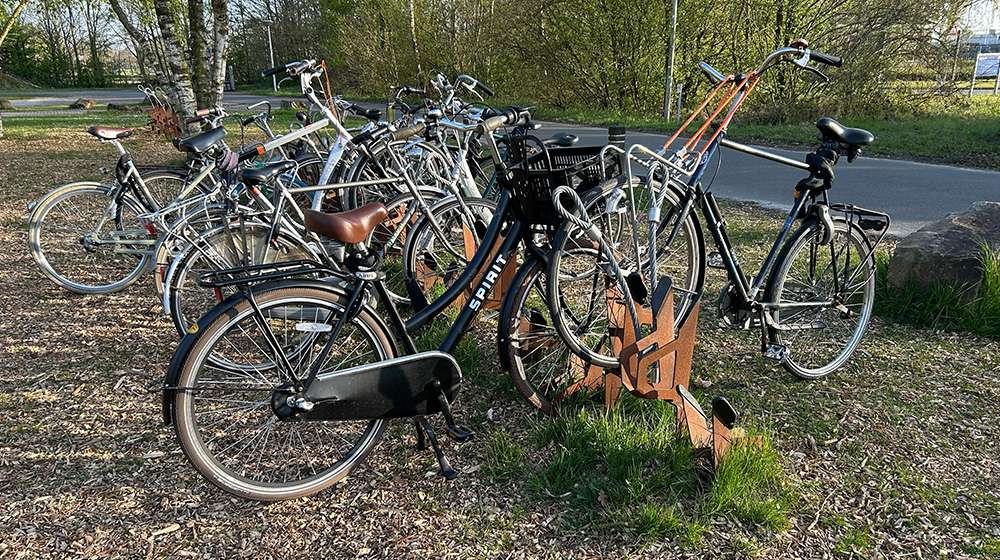 THETA 
CORTENSTAAL
AXLE DOUBLE ROSE
NATURE
ROEIVERENIGING
Eindhovensche Studenten Roeivereniging