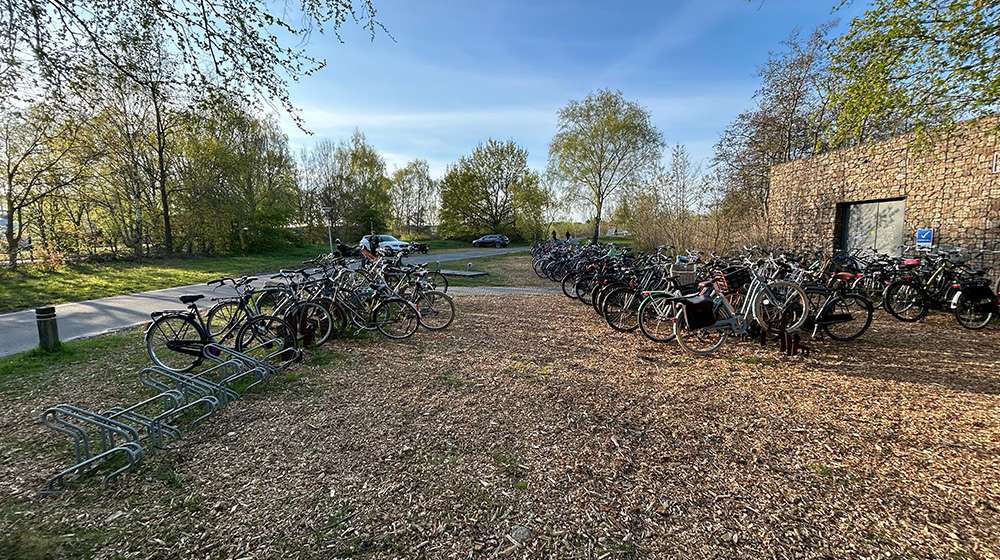THETA 
CORTENSTAAL
AXLE DOUBLE ROSE
NATURE
ROEIVERENIGING
Eindhovensche Studenten Roeivereniging