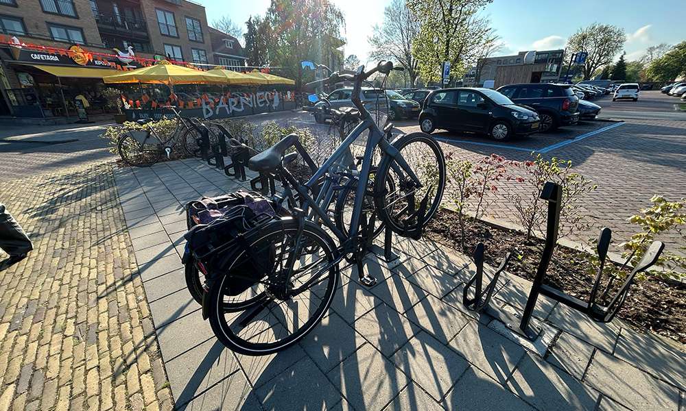 BARNEVELD CENTRUM\ AXLE IVO AXLE ROSE ROSE