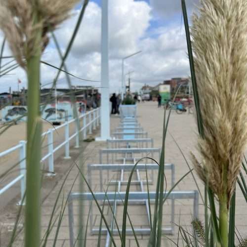 Sustainably designed BIKEBUSHKA® for events and busy public spaces