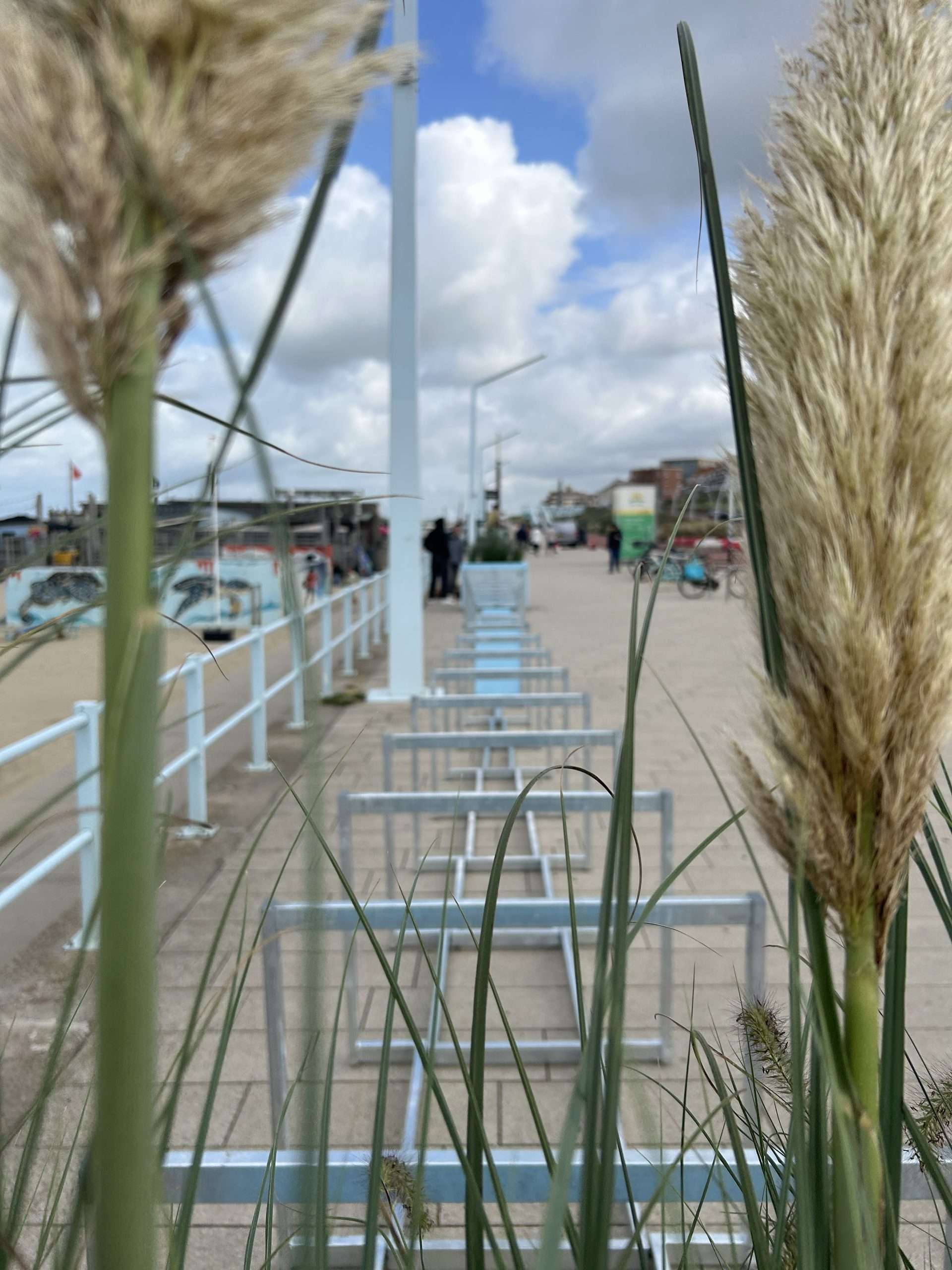 Sustainably designed BIKEBUSHKA® for events and busy public spaces